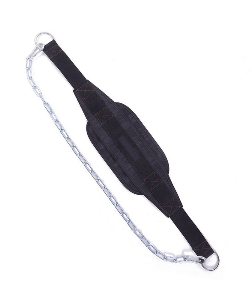 Custom Dip Belt - Image 2
