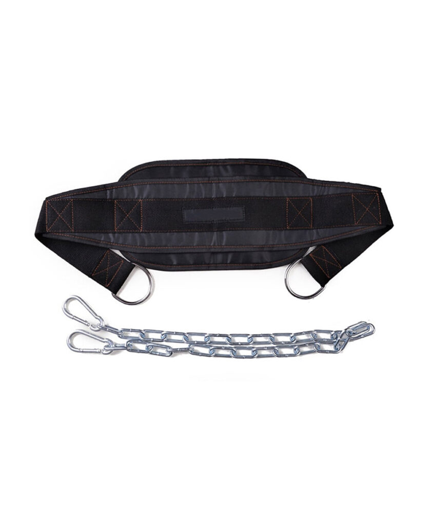 Custom Dip Belt